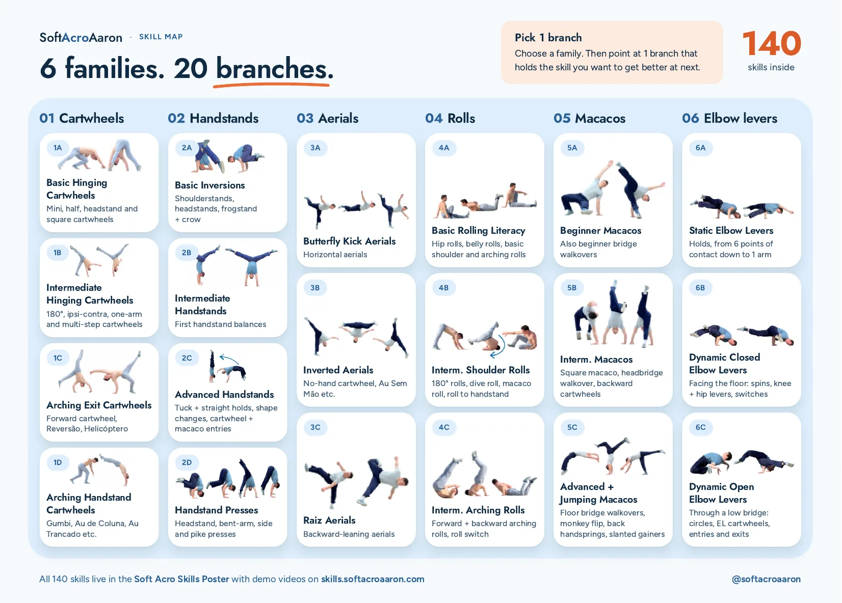 The skill map: 6 families and 20 branches